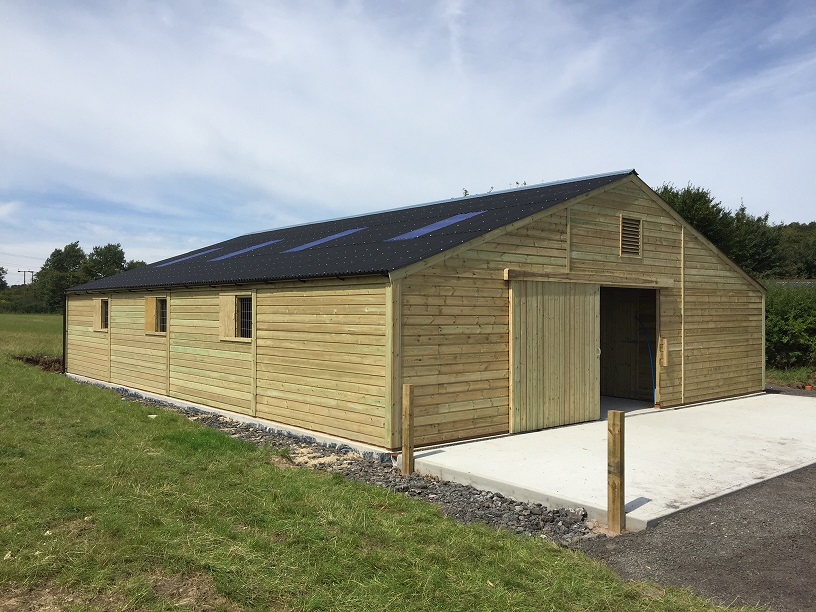 8 box american barn